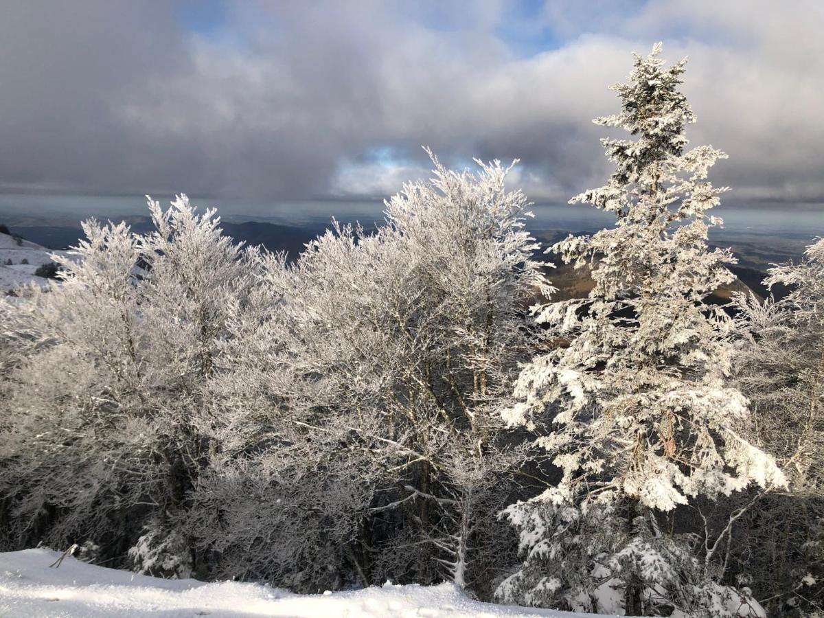 Chateau Porthos Tranquillite Des Pyrenees Lanne-en-Baretous エクステリア 写真