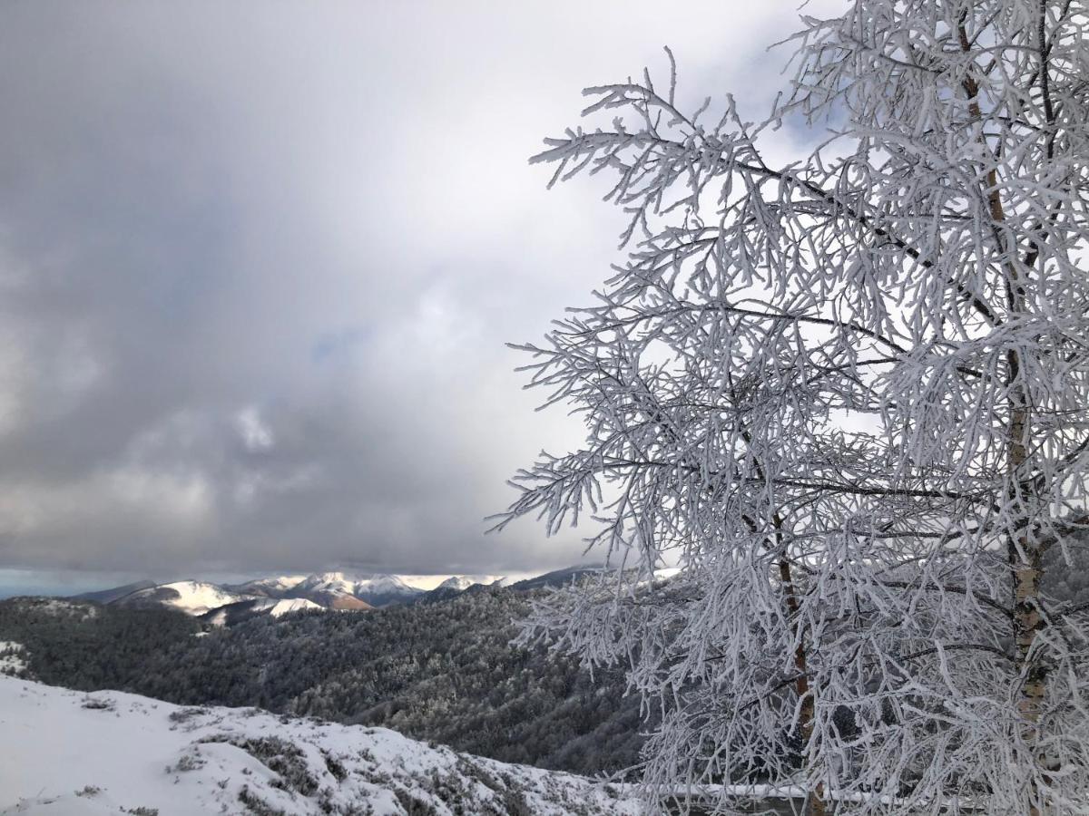 Chateau Porthos Tranquillite Des Pyrenees Lanne-en-Baretous エクステリア 写真