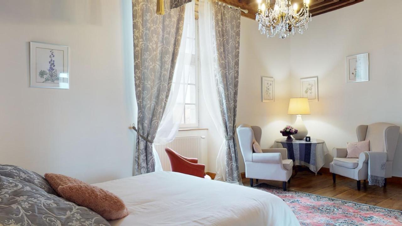 Chateau Porthos Tranquillite Des Pyrenees Lanne-en-Baretous エクステリア 写真
