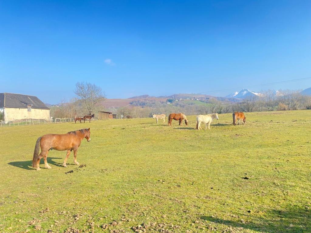 Chateau Porthos Tranquillite Des Pyrenees Lanne-en-Baretous エクステリア 写真